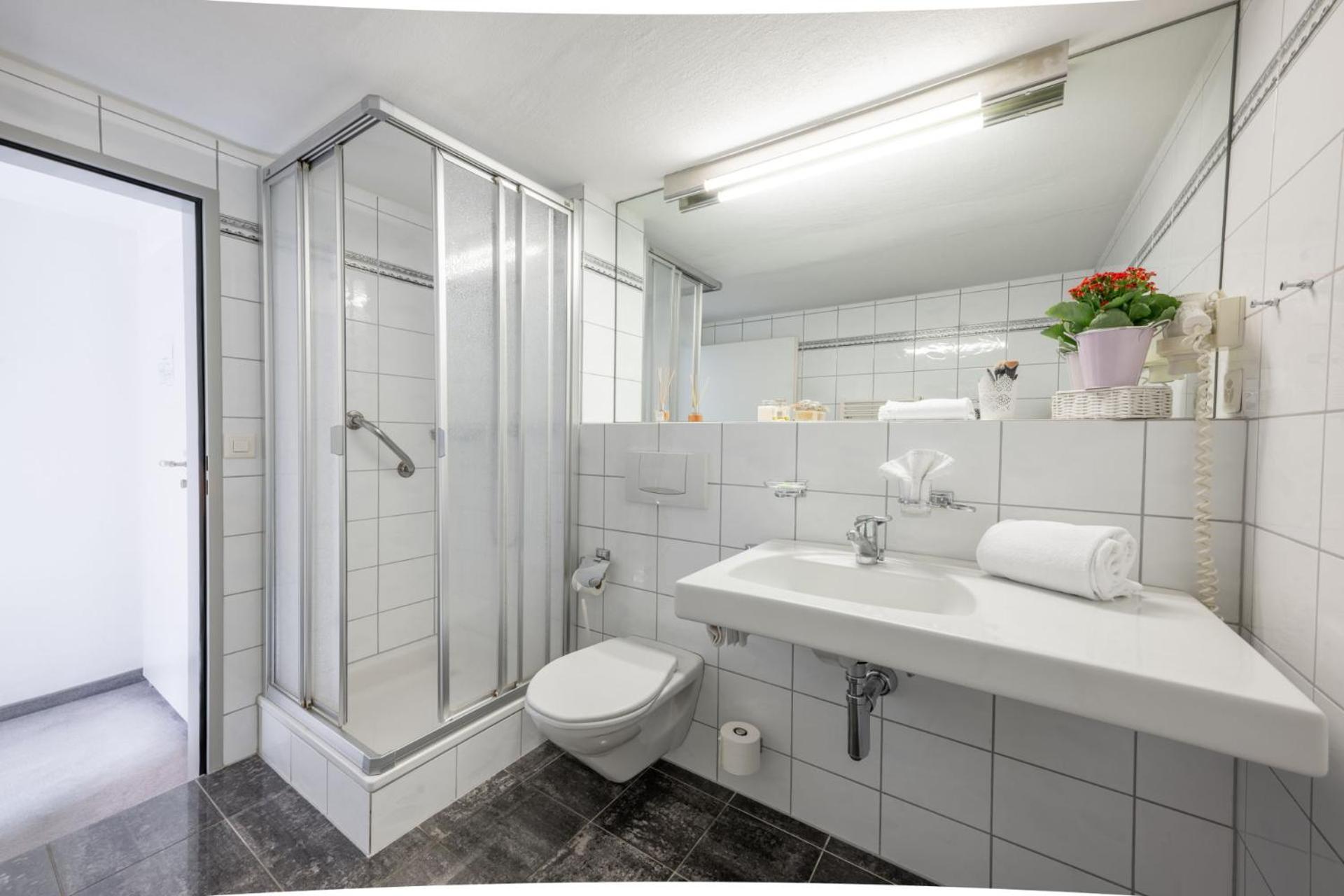 Hotel Alpina Schiers Kültér fotó