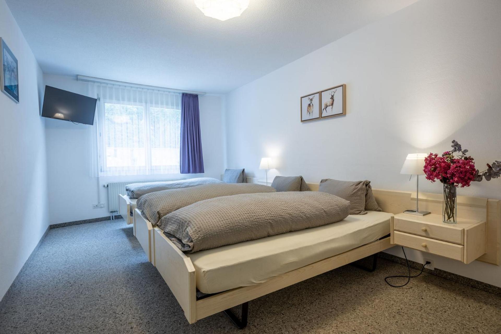 Hotel Alpina Schiers Kültér fotó