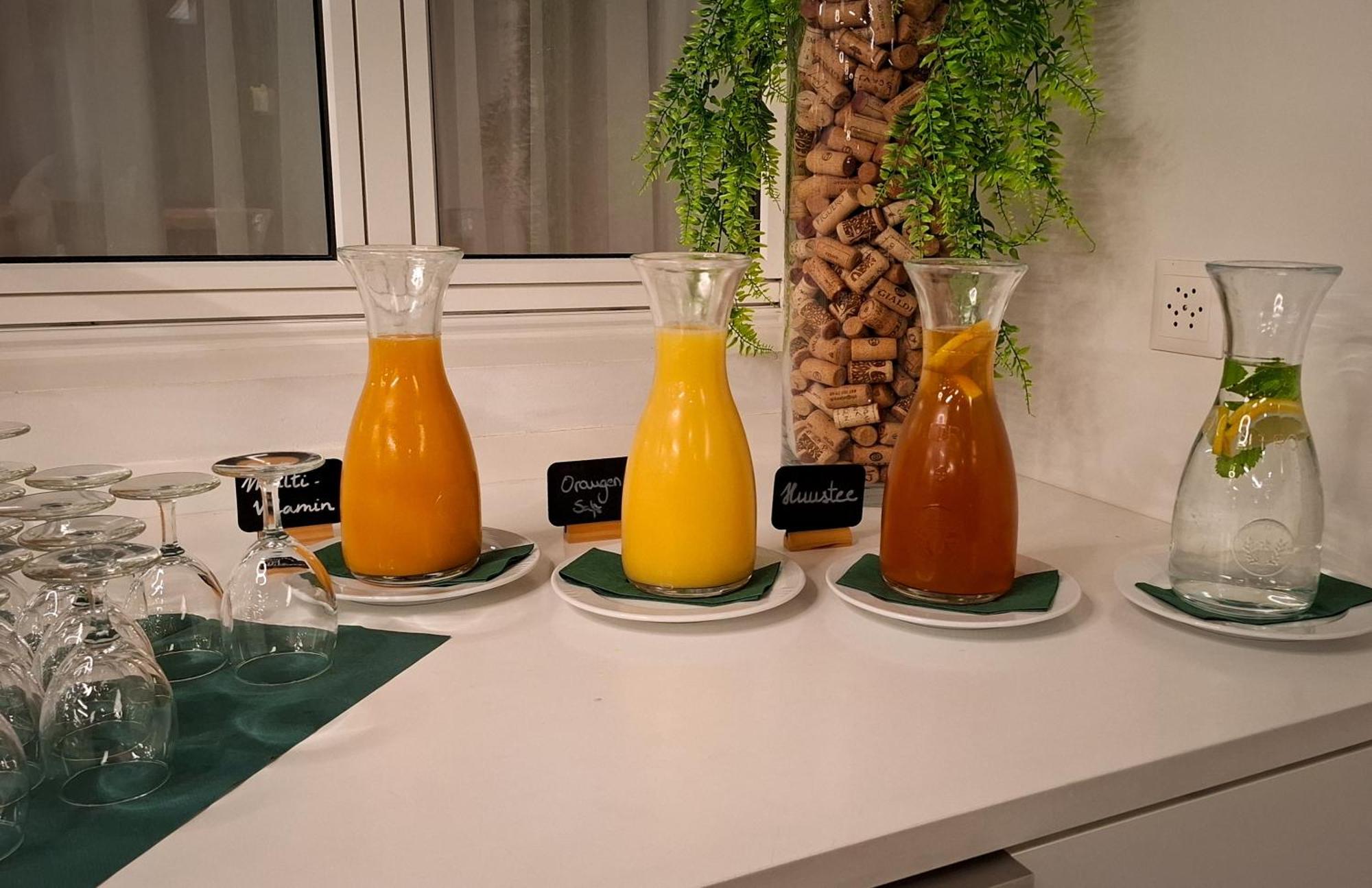 Hotel Alpina Schiers Kültér fotó